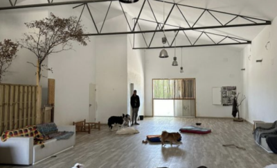 Kalma | Residencia y Guardería Canina en la naturaleza